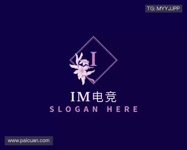 介绍IM